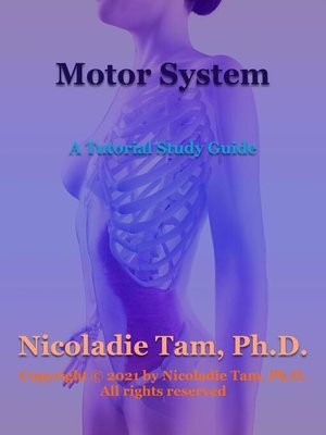 cover image of Motor System
